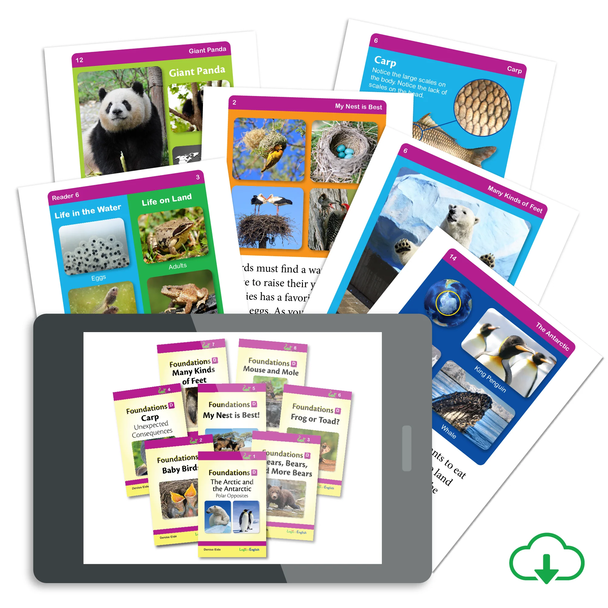 Foundations D Readers PDF