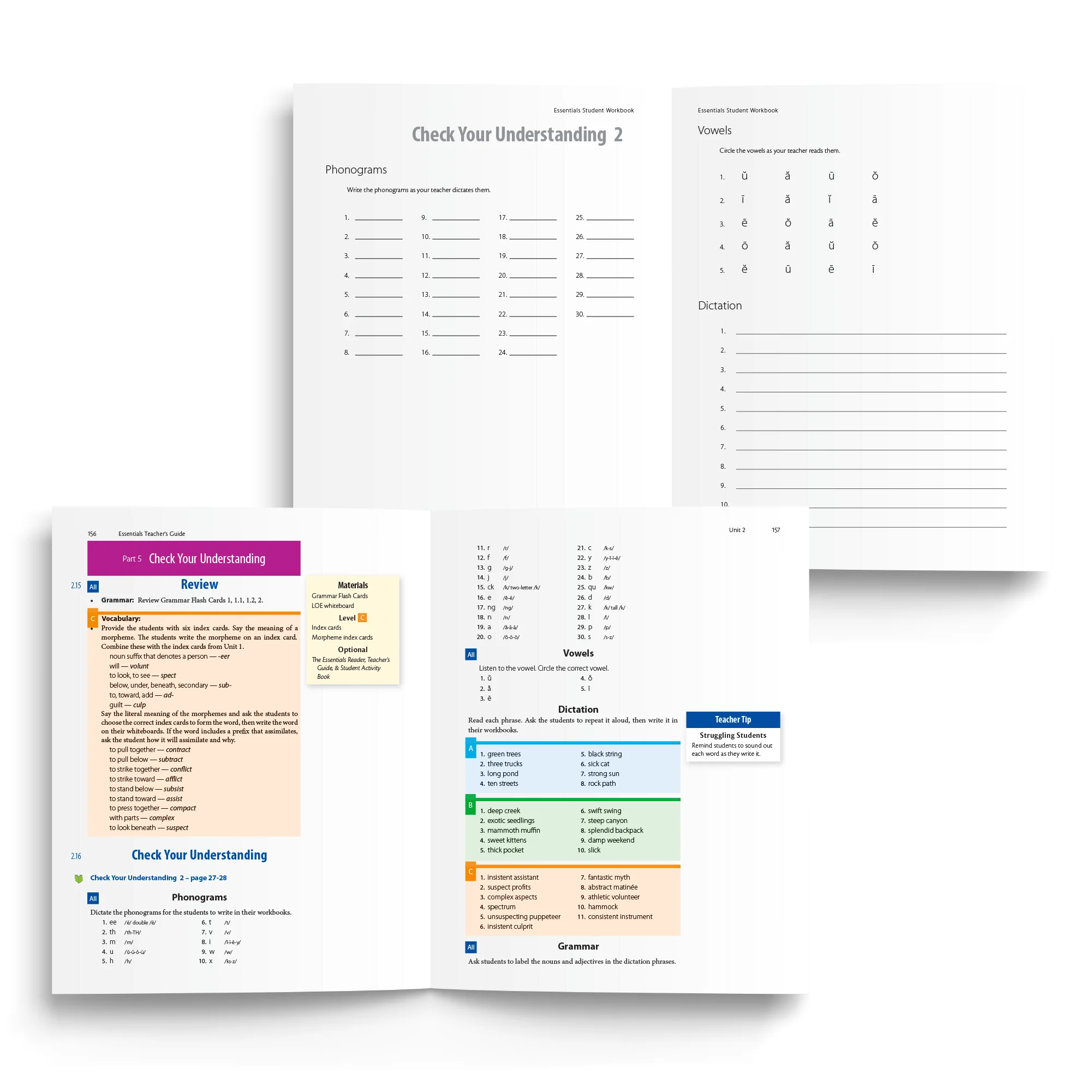 Essentials 1-7 Bundle - Image 4