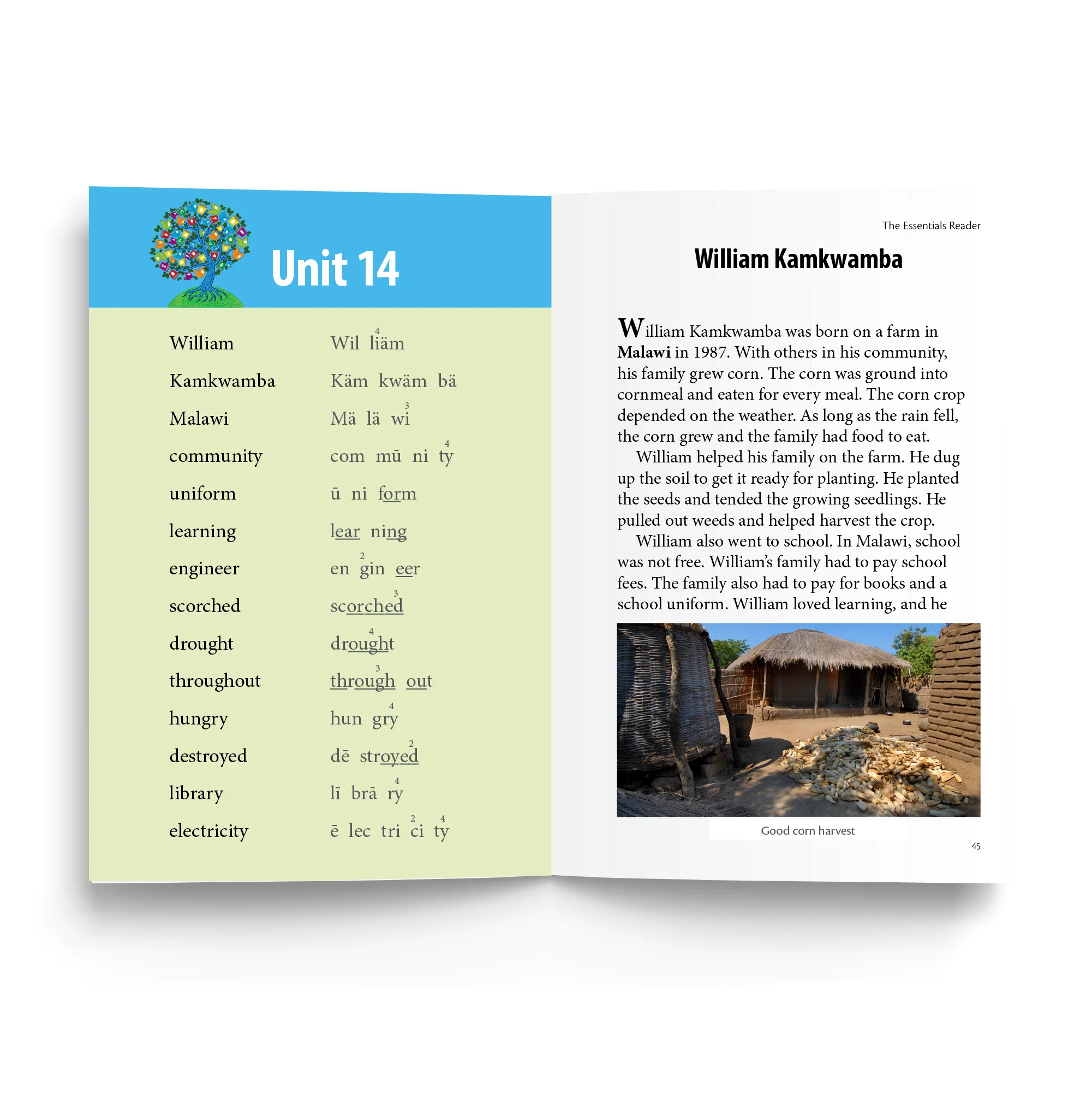 Essentials Reader Bundle - Image 3