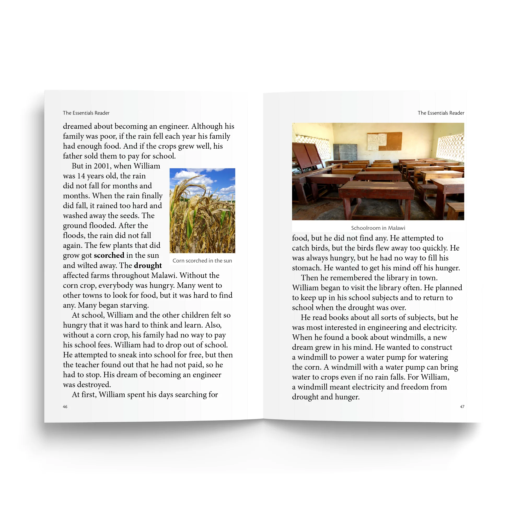 Essentials Reader Bundle - Image 4