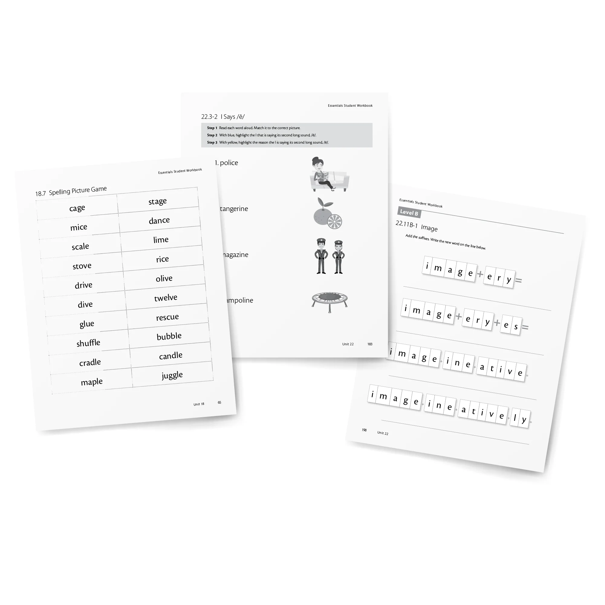 Essentials 16-22 Student Workbook - Image 3