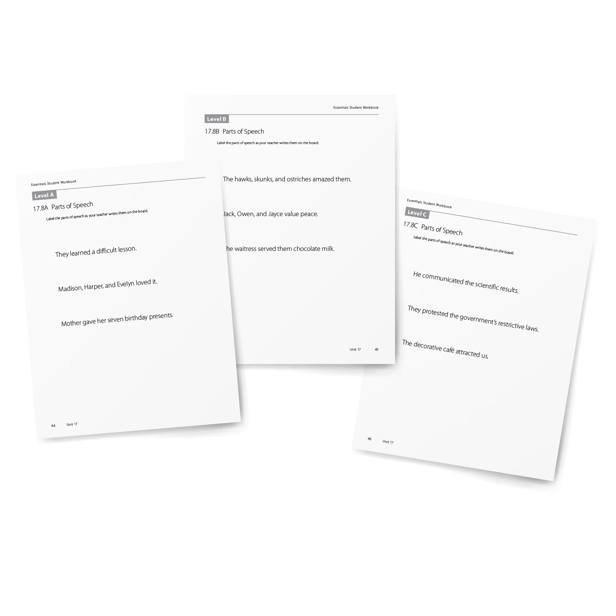 Essentials 16-22 Student Workbook - Image 4