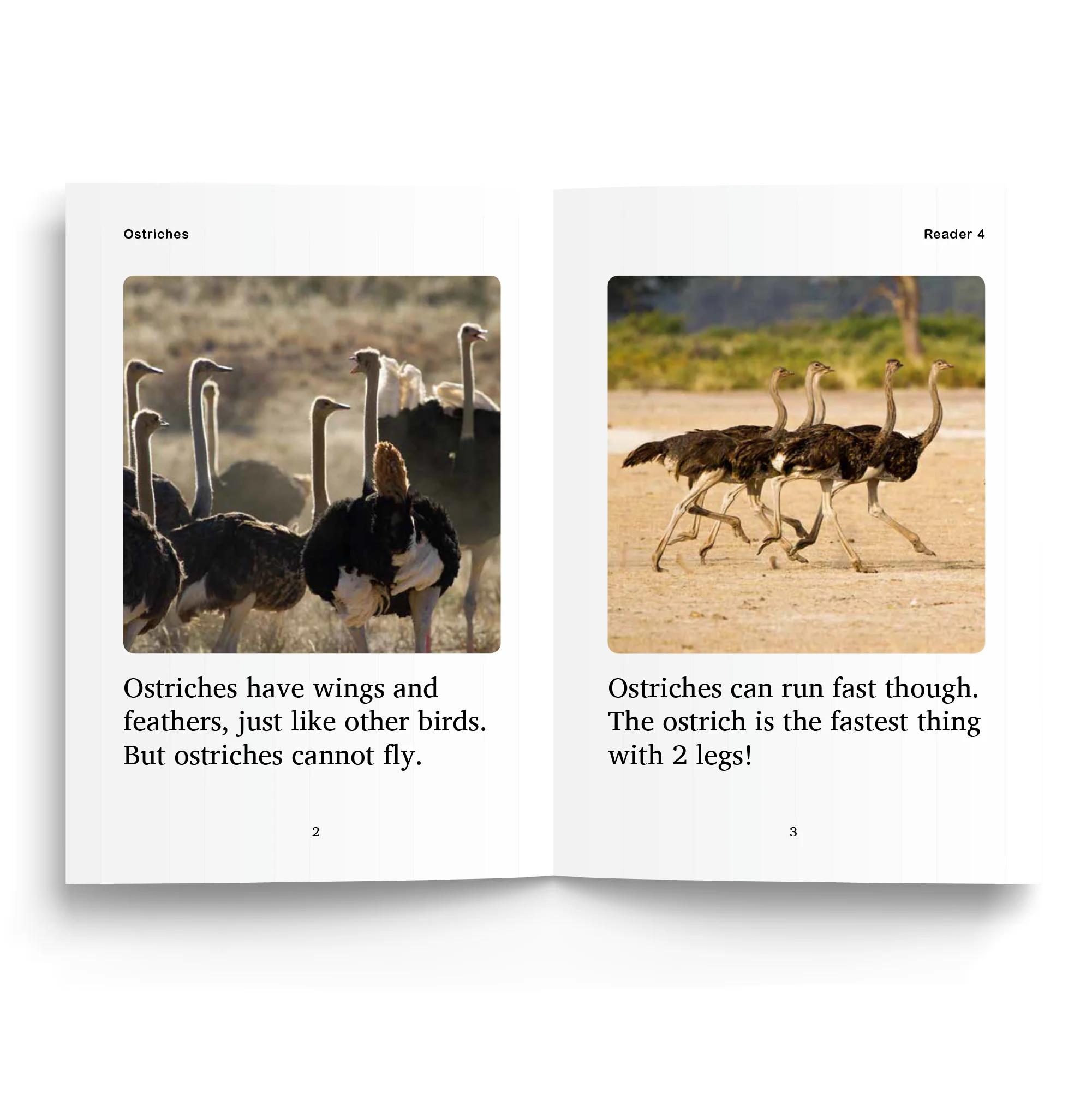 Foundations C Readers - Image 9