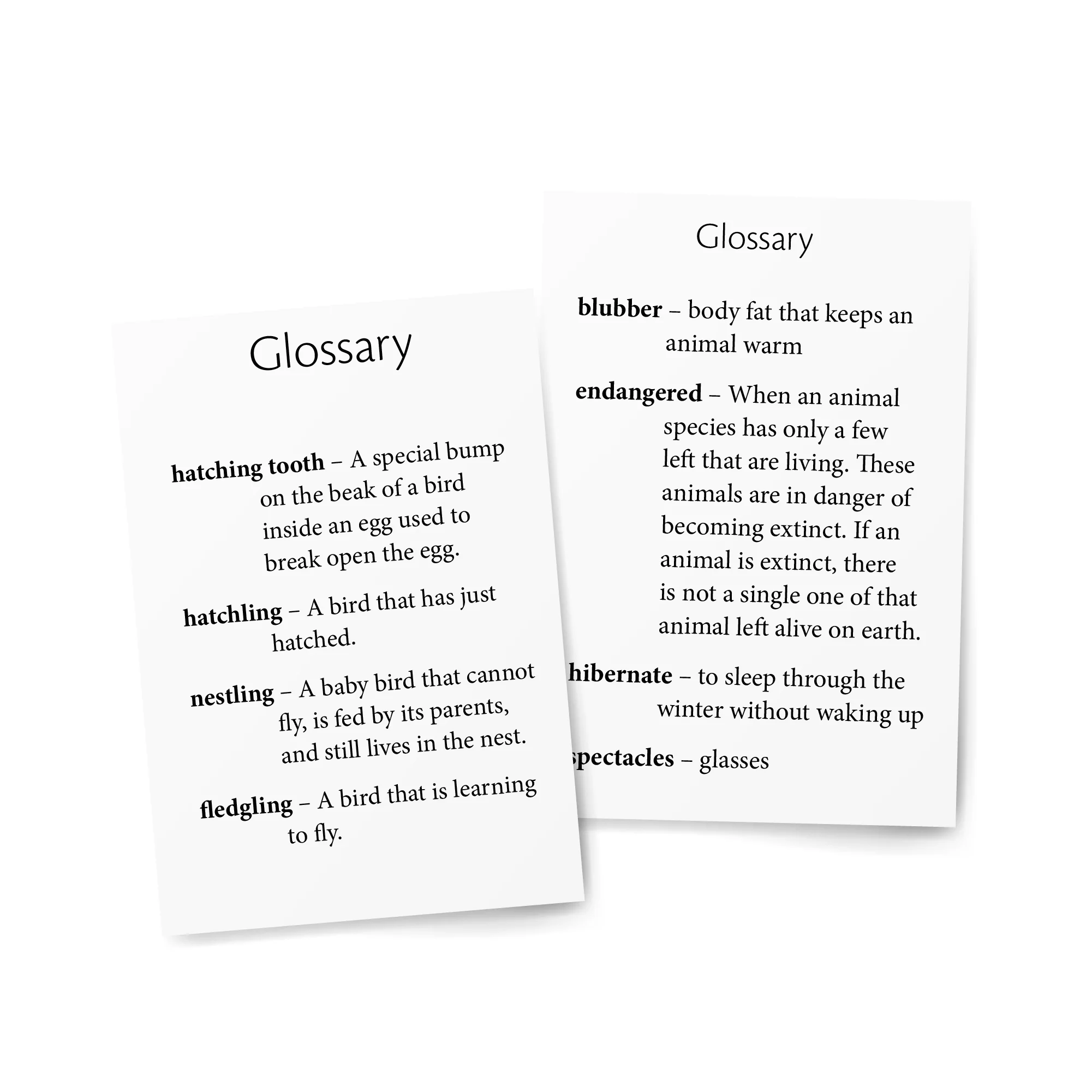 Foundations D Readers - Image 13