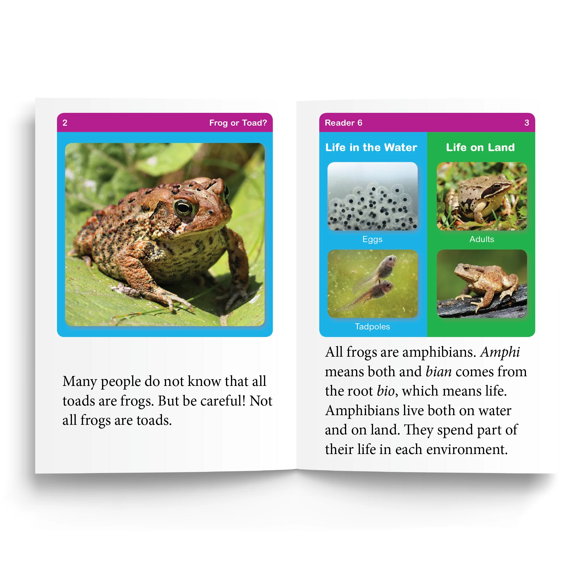 Foundations D Readers - Image 14
