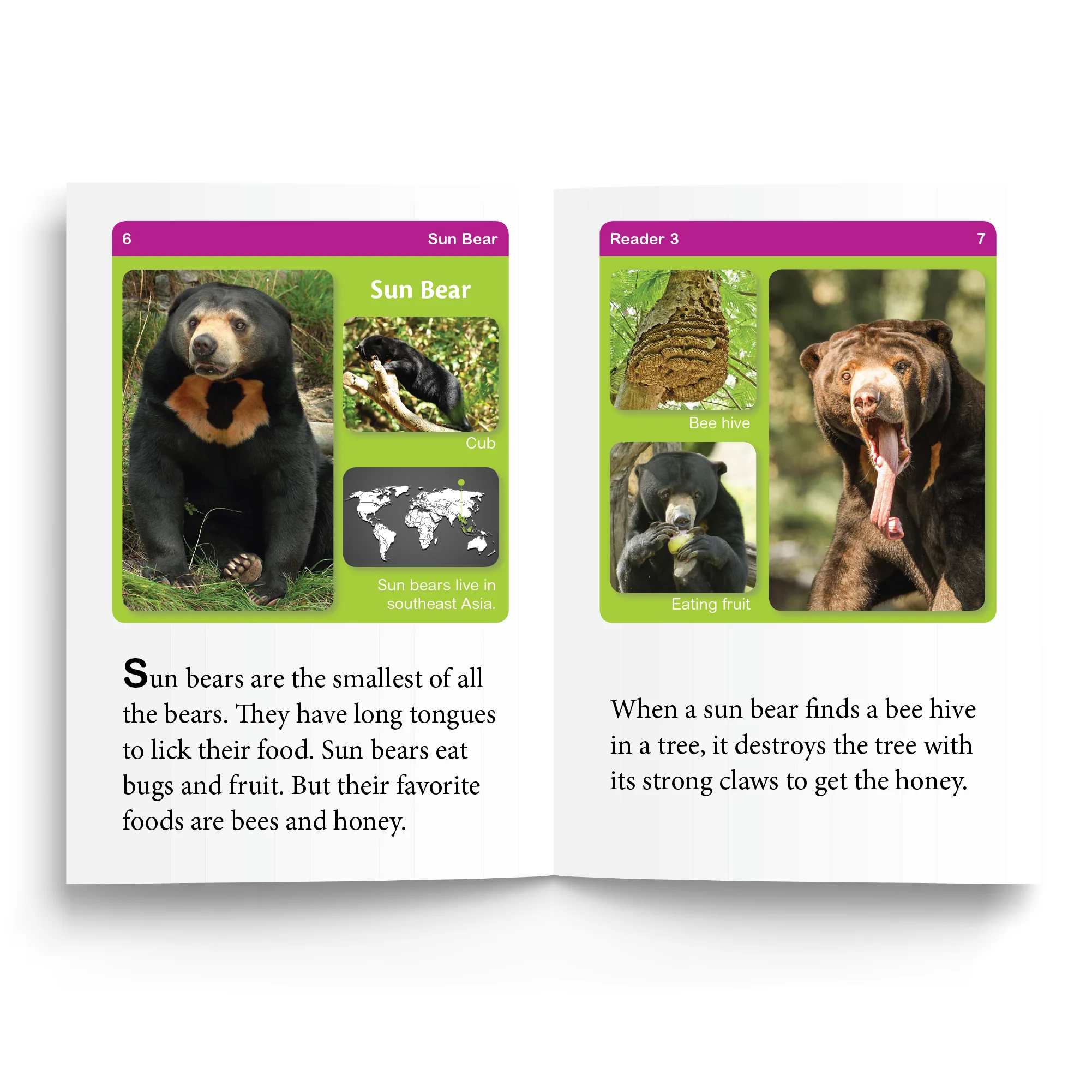 Foundations D Readers - Image 7