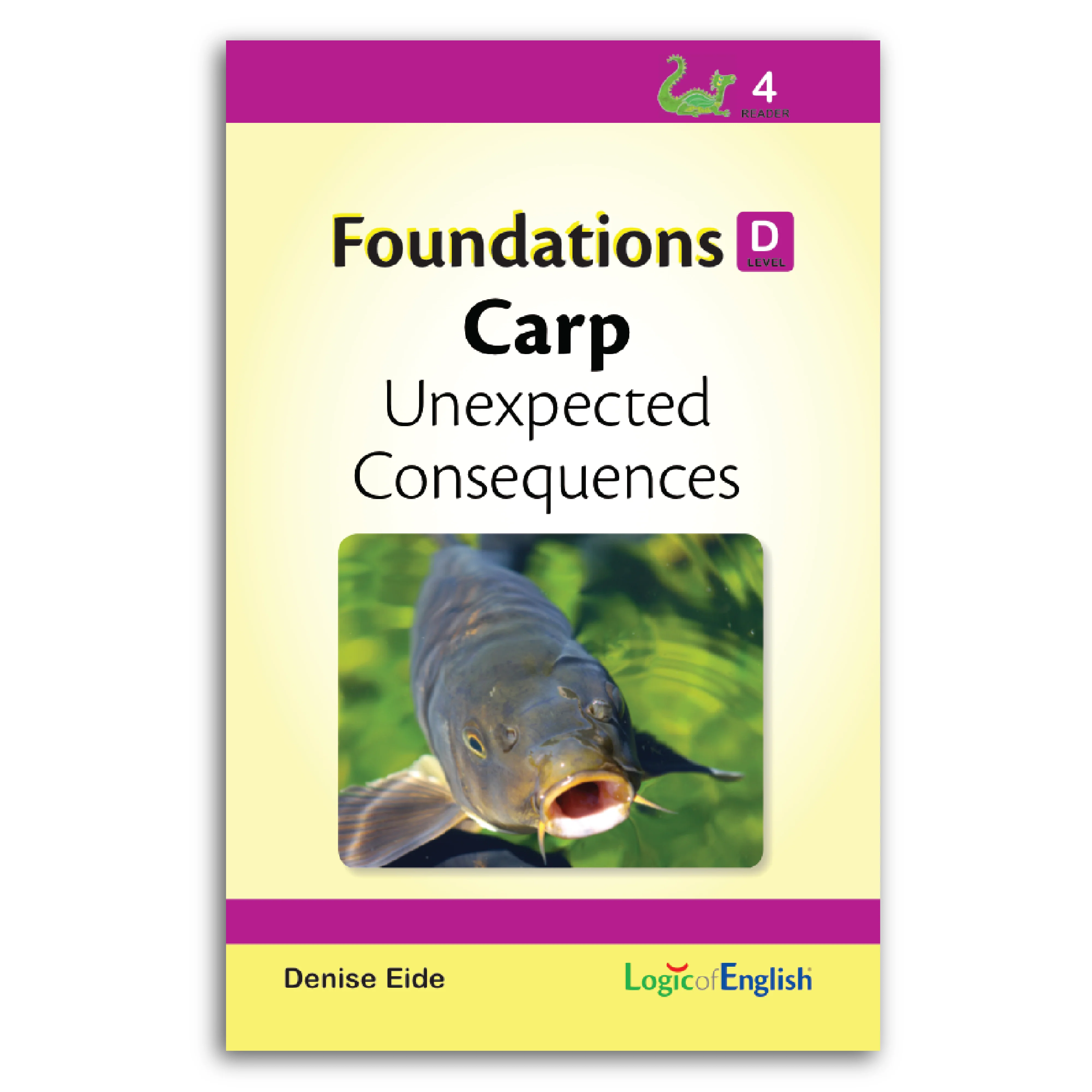 Foundations D Readers - Image 8