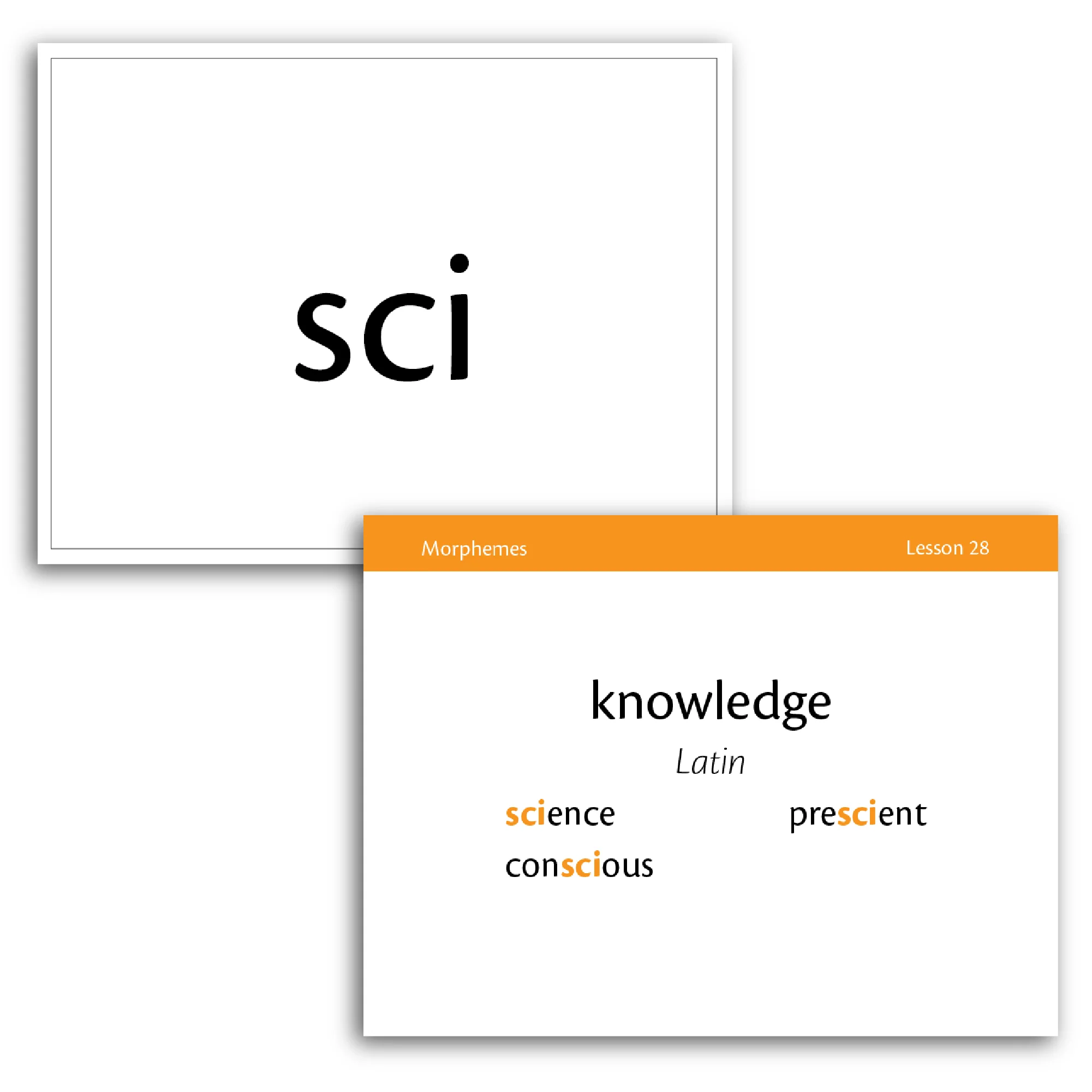 Essentials 23-30 Morpheme Flash Cards - Image 6